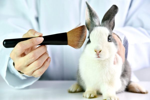 Read more about the article How To Find Out If a Cosmetic Is Cruelty Free?